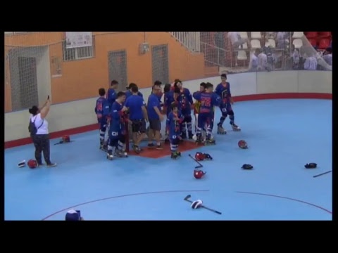 Ctos. España HL 2018 FINAL ALEVIN  - CHC Las Rozas Vs Alas de Sagunto