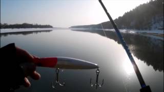 Бийск отчеты о рыбалке 2019