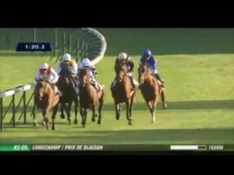 FR - "Royal Julius" - HD