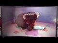 Snuffy In Babies