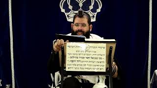 דף היומי עבודה זרה דף י' ע"א ¤ הרב נתנאל אברז'ל ¤ בית הכנסת "בית מרדכי" (מוסדות תורת דוד) - התמונה מוצגת ישירות מתוך אתר האינטרנט יוטיוב. זכויות היוצרים בתמונה שייכות ליוצרה. קישור קרדיט למקור התוכן נמצא בתוך דף הסרטון