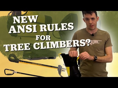 YouTube Thumbnail sEj5rr-YRsc