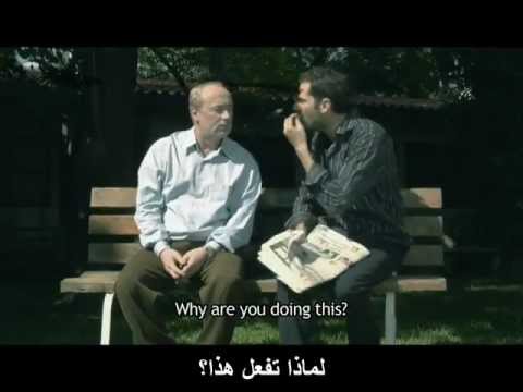 what is that ? (sparrow) HD