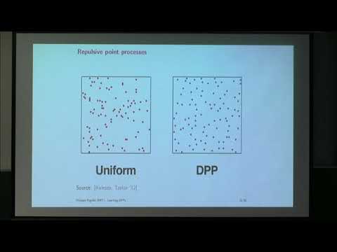 STSW01 | Prof. Philippe Rigollet | Learning determinantal point processes