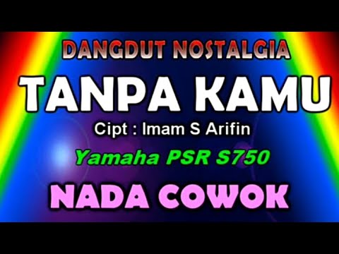 Tanpa Kamu - Imam S.Arifin (KARAOKE)