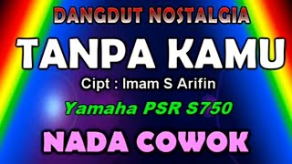 Download lagu Tanpa Kamu - Imam S.Arifin (KARAOKE) mp3