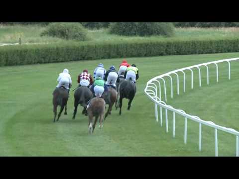 2017.06.03. 1. futam - BÁRDOSI GYÖRGY EMLÉKVERSENY HENDIKEP (I.o.)