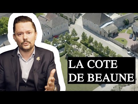 La Minute Chanzy #15 - LA COTE DE BEAUNE -THE COTE DE BEAUNE