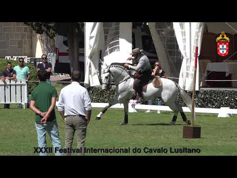 210919 Equitação de Trabalho Prova Velocidade Highlights 3 primeiros