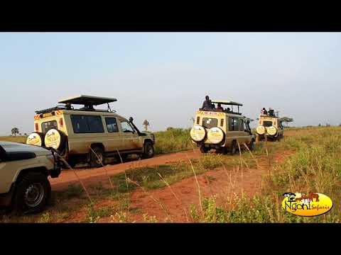 Highlights of our 8 Days Group Tour in Uganda.