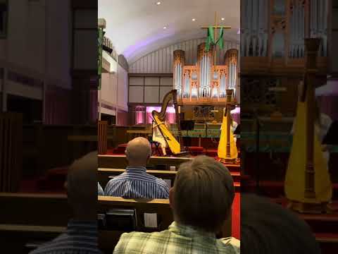 Promotional video thumbnail 5 for Professional Harpist Marissa Purnell