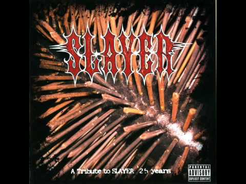 The Everscathed - Aggressive Perfector (Slayer)