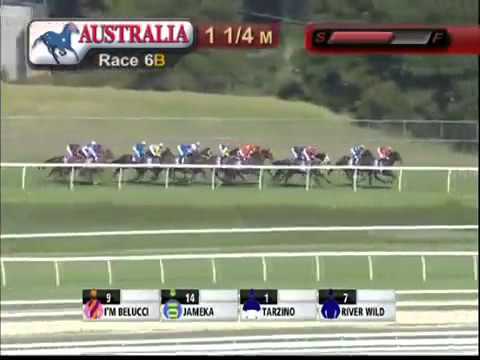 ROSEHILL GUINEAS 2016 - Tarzino