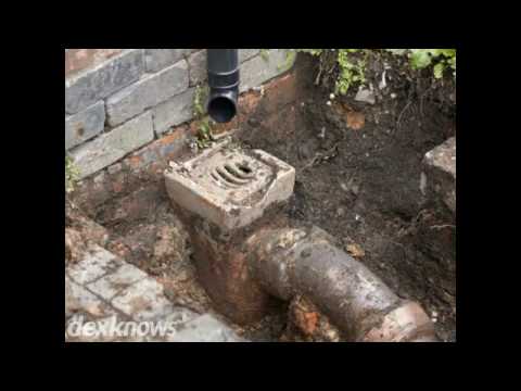 download lagu mp3 mp4 Suc N Up, download lagu Suc N Up gratis, unduh video klip Suc N Up