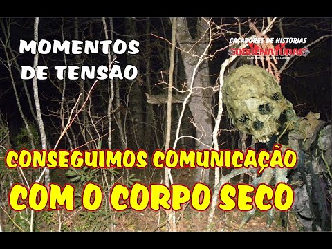 UM ASSASSINO PRESO NA ÁRVORE DIZ SER CORPO SECO.