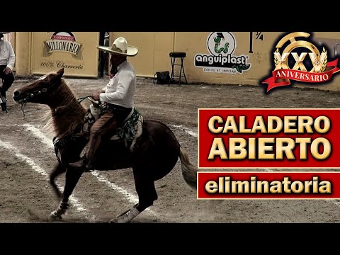 2022 Open Fishing Ground Qualifier - Top 5 Finalists - 2022 THV Millionaire Championship