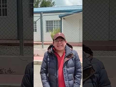 Would you give your land to Jehovah's Witnesses? #jw #exjw