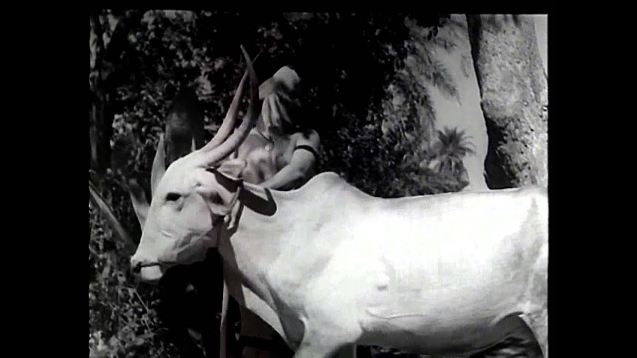 Raasaa Bayam Pochudhe Song Lyrics | Maruthanad Elavarasee | M. M. Mariappan