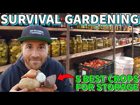 5 BEST Crops To Grow For Food Security And Food Storage
