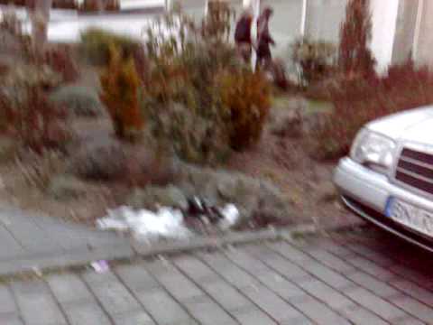 freshgang - coke jacking yo