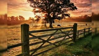 Download lagu Story wa sedih tentang rindu selamat pagi mp3 Download lagu Story wa sedih tentang rindu selamat pagi mp3