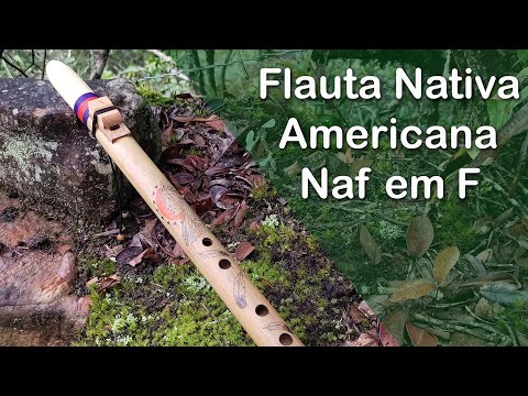 Flauta Nativa Americana Naf em F (fá)