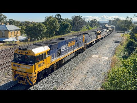 Pacific National’s NR59, NR28 (Indian Pacific) & 8115 with 7BS4 at East Maitland - 15/6/25