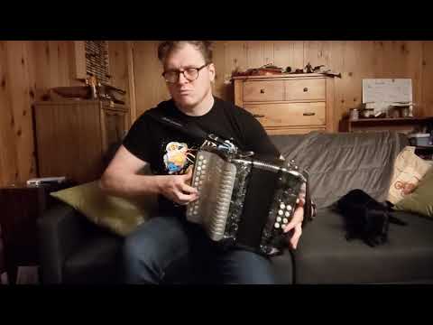 TOSAD 2020 : Day 254 | The Garden of Daisies