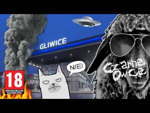 Trzepakowa rzeczywistość