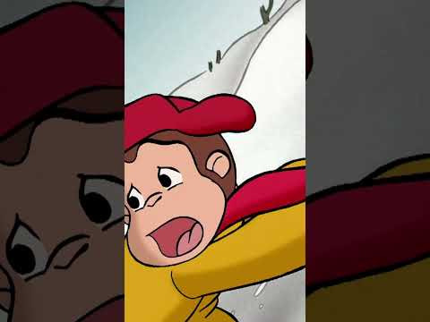 Coco stürzt einen Hügel hinunter! #shorts