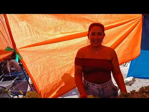 Mais uma feira livre em Serra caiada RN parte 1 