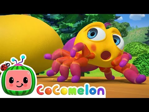 Itsy Bitsy Spider ???? CoComelon Nursery Rhymes & Kids Songs ????????Time for Music! ????????