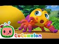 Itsy Bitsy Spider CoComelon Nursery Rhymes Kids Songs Time For Music