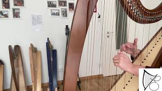 Video thumbnail for Korrigan Camac by Harp Center Lugano