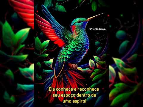 Banda Luz da Nova Era - Sabedoria dos Bichos