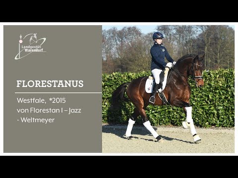 Florestanus Januar 2020