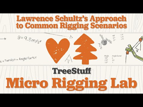 Lawrence Schultz's Approach to Common Rigging Scenarios Part 1 - TreeStuff's Micro Rigging Lab