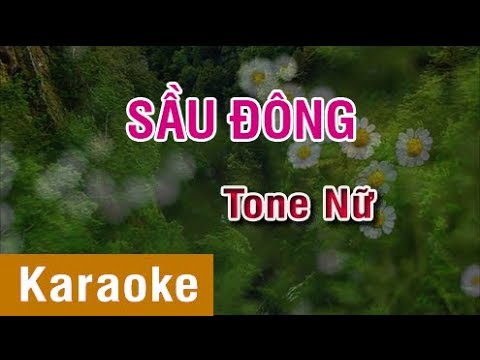 [Karaoke Beat] Sầu Đông - Tone Nữ