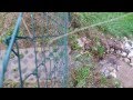 Zulauf Retentionsbecken Weblinger Straße 11 10 2015 16 31 05