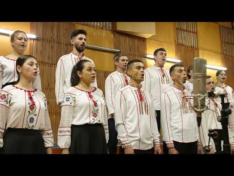 Sarba pe loc - Gh.Danga