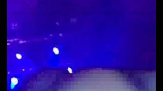 BabyShambles - Beg Steal or Borrow (Live) by F Mitchell