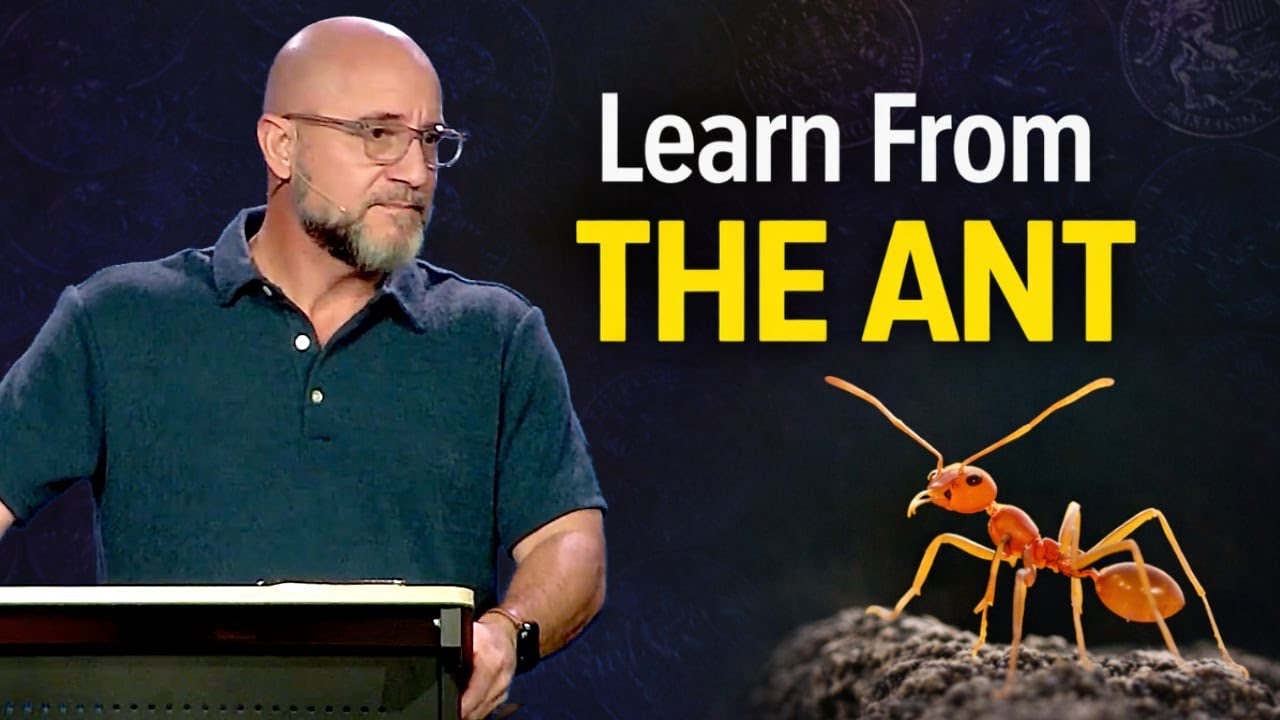 MONEY:Learn From The Ant (Proverbs 6:6-8)