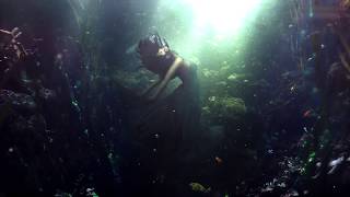 Audiomachine - La Belle Époque (2018) | Epic,Dramatic & Heroic | Full Album