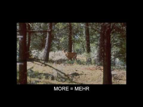 "M" Flashcards: Level 2 - Englisch for German Speakers.