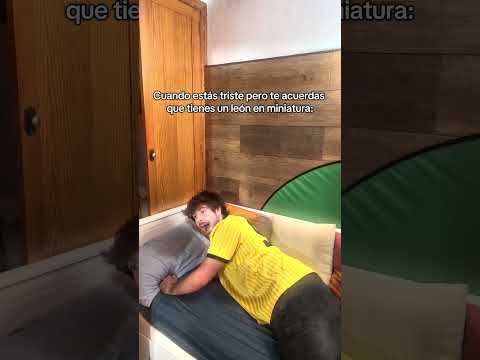 Like si tienes uno #humor