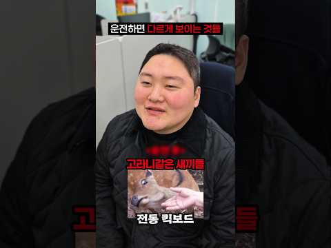 운전하면 다르게 보이는것들ㅋㅋㅋ