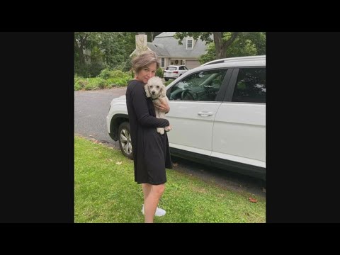 New England woman wears same dress for 100 days and no one notices