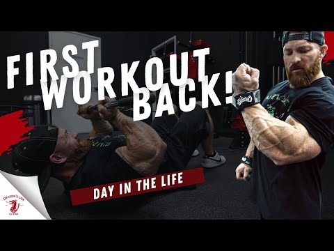 Day In The Life | BICEP AND TRICEP WORKOUT