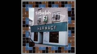 SEBADOH - OPEN ENDED