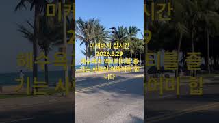 다낭 #다낭 #여행 #다낭숙소 #베트남 #해양스포츠